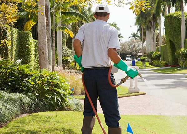 About Cooperstown NY Pest Control
